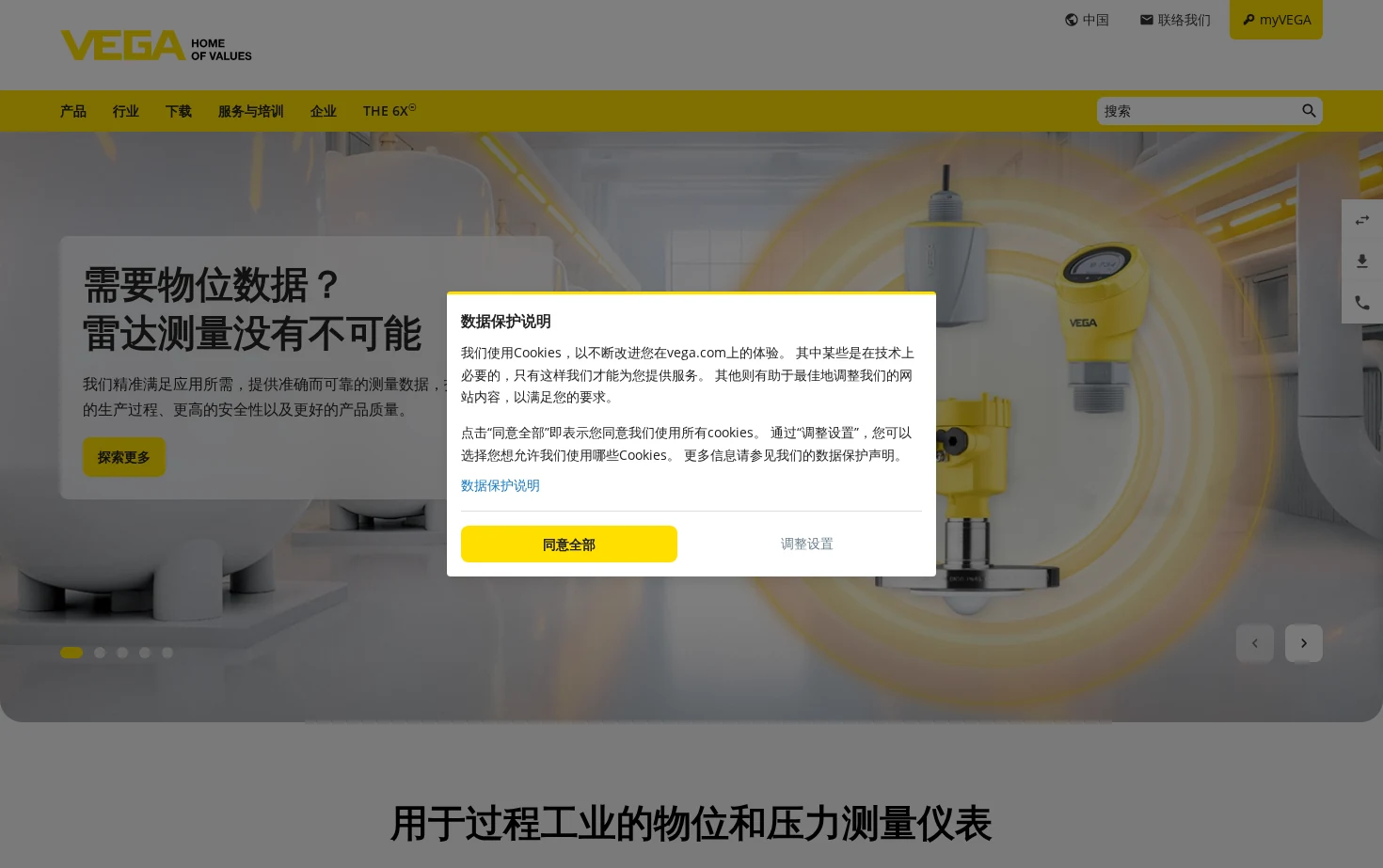 VEGA 页面快照